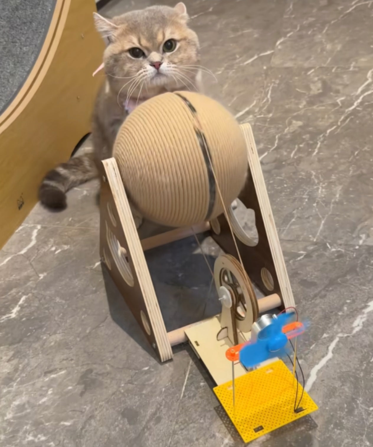 Interactive Cat Scratching Board - Led Light Toy with Hand-Crank Feature