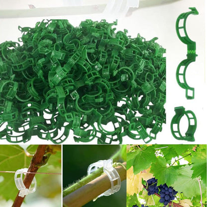 Secured Plastic Plant Support Clips
