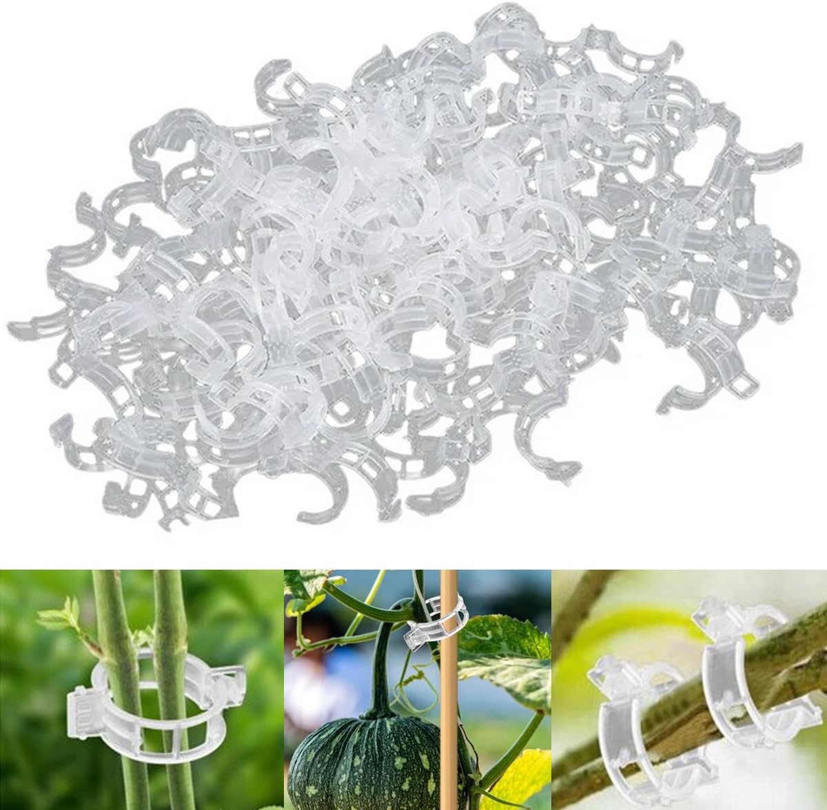 Secured Plastic Plant Support Clips