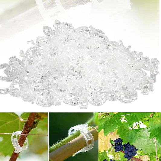Secured Plastic Plant Support Clips